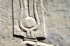 44