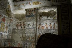 IMG_4761.VividShare