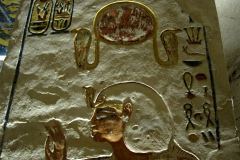 IMG_4767.VividShare