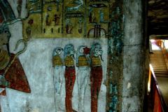 IMG_4948.VividShare