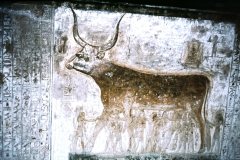 33-KV17-Hathor-graf-Seti-I