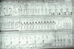 11-AMDUAT-11E-UUR