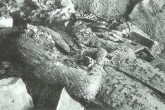 04-Kist-in-KV55