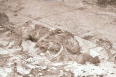 02-Mummie-Hatsjepsoet-in-KV-60