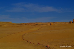 DSC_0074.Vivid_