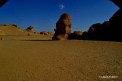 DSC_0095.Vivid_