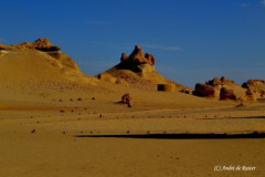 DSC_0096.Vivid_