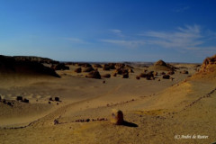 DSC_0115.Vivid_
