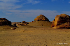 DSC_0129.Vivid_