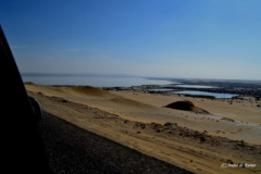 DSC_0135.Vivid_