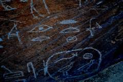 DSC_0060.VividShare