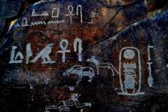 DSC_0183.VividShare