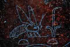 DSC_0203.VividShare
