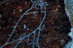 DSC_0205.VividShare