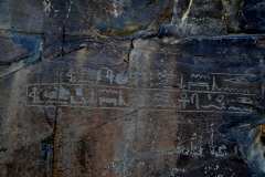 DSC_0232.VividShare