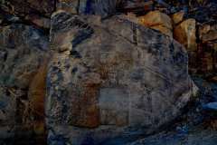 DSC_0244.VividShare
