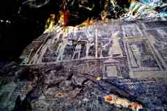 DSC_0265.VividShare