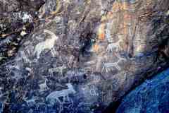 DSC_0340.VividShare