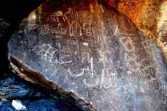DSC_0467.VividShare