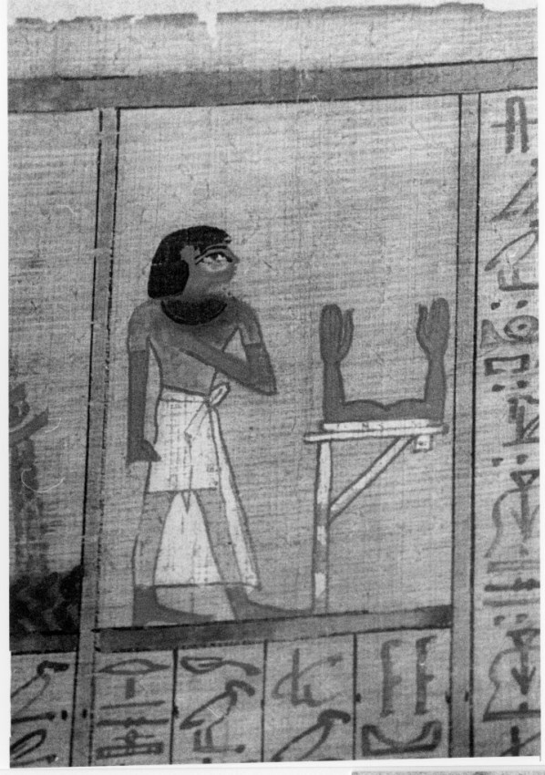 L_3074_papyrus_008