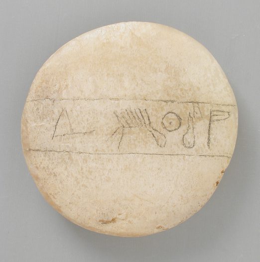 Nikon 990 Digital Capture