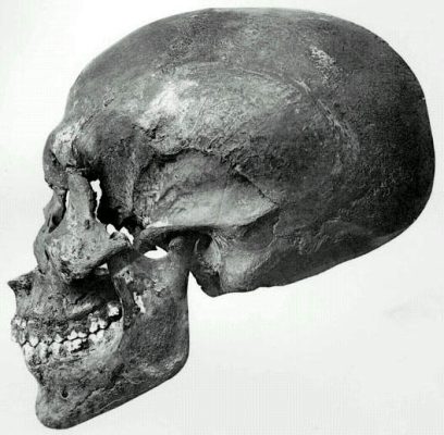 Echnaton_KV55_scull