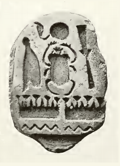 Sheshonq1ScarabPetrie