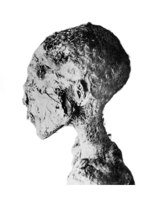 Siptah_mummy_head Siptah_mummy_head