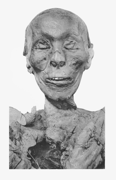 Thoetmose_II_mummy_head Thoetmose_II_mummy_head