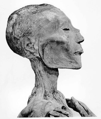 ramses5_1b ramses5_1b