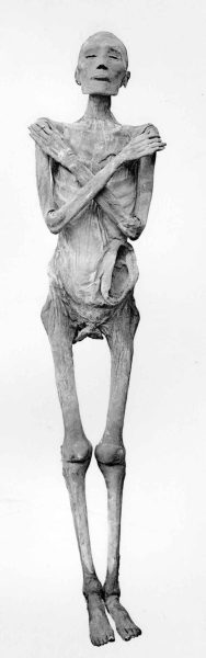 ramses5_3b ramses5_3b