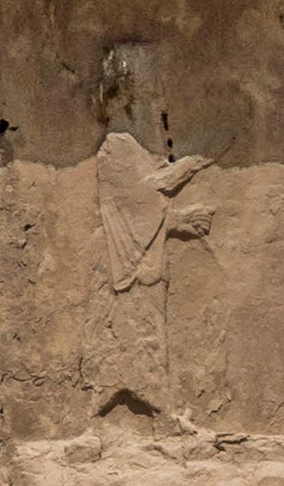 Darius_II_(reduced_shadow)