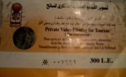 IMG_6263.Vivid IMG_6263.Vivid