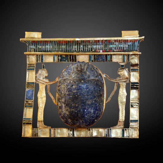 Paser Pectoral-E_68-IMG_2496-gradient