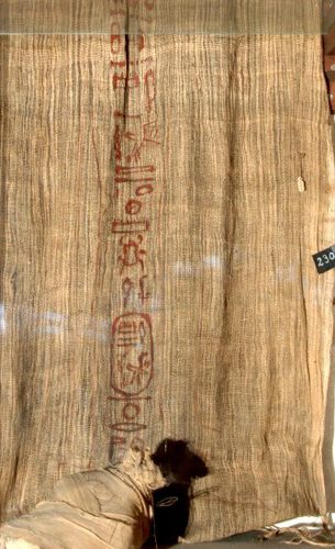 Pinedjem I CAI-JE46881-shroud-of-Pay-nedjem1-D21a-TT320-SVI0107-web_2_