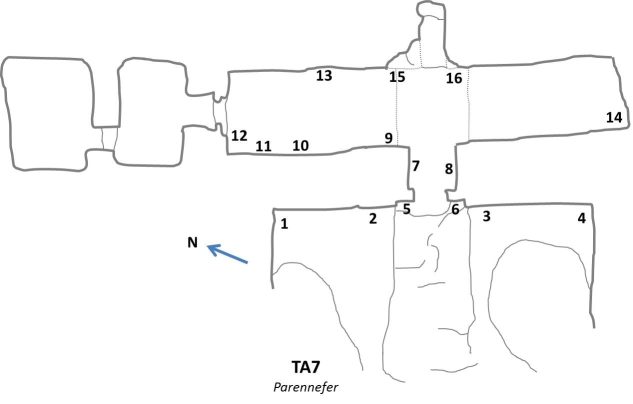 TA7_Parennefer