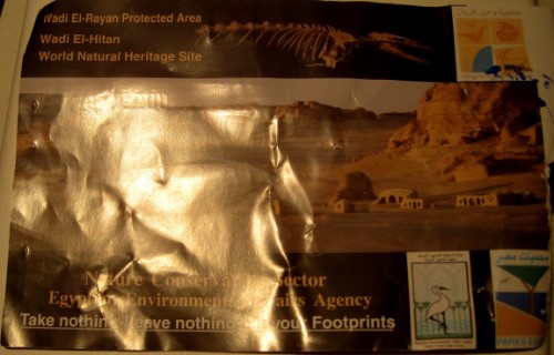 Wadi-El-Hitan
