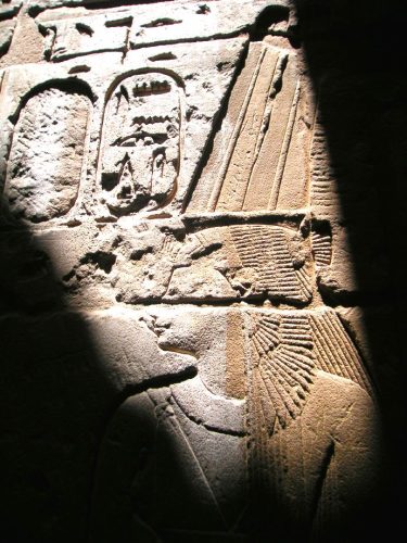 MINOLTA DIGITAL CAMERA