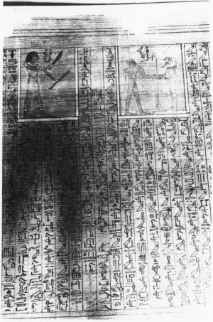 L_3092_papyrus_003